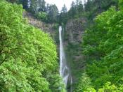 Multnomah Falls & Waterfalls  July 2nd,5th,7th (9:00am or 2:00pm)